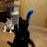 くぅちゃん _ (5).jpg